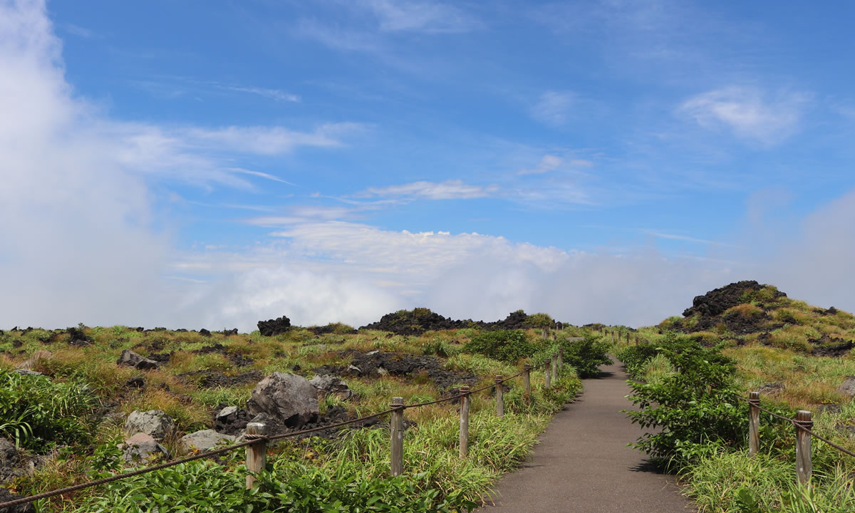 火山島ならではの風景